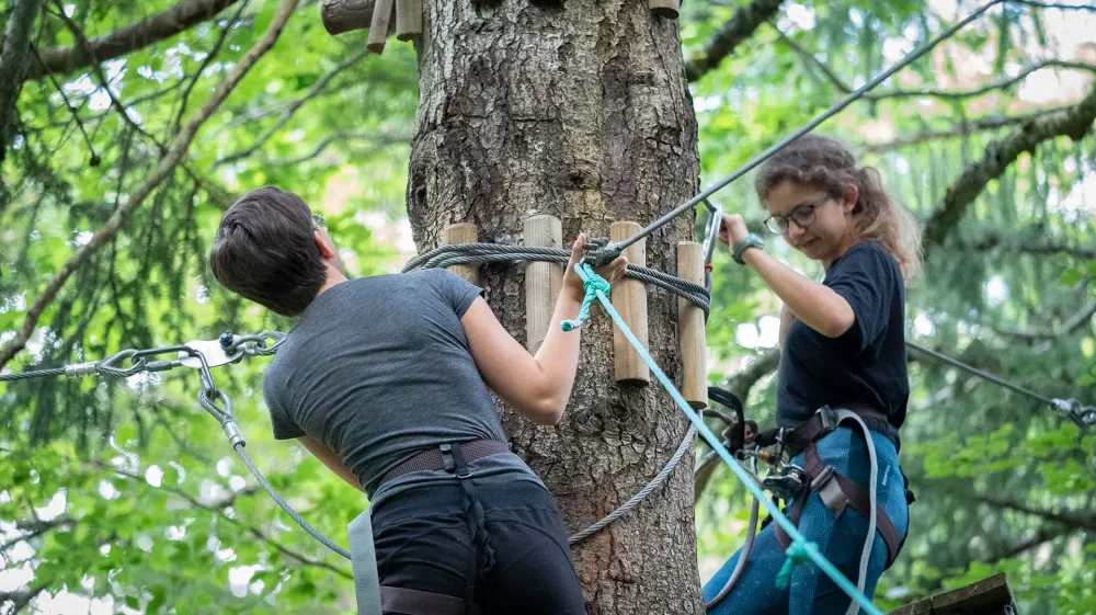 activité accrobranchewebp